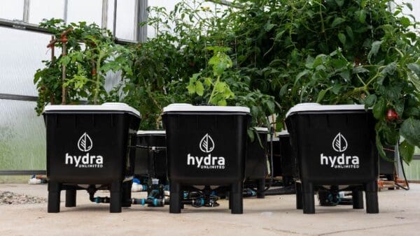 rirakkuma WC2 2台 2-Bucket DWC Hydroponic System - HydraMax Home