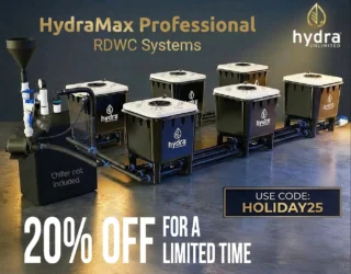 6-Bucket RDWC Hydroponic System - HydraMax