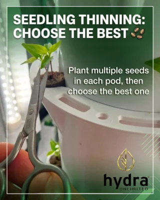 Hydroponic Bucket Lid with Inspection Port - HydraMax